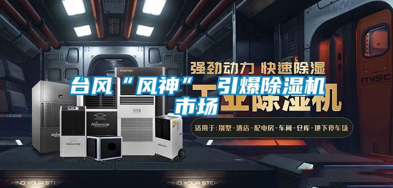 台风“风神” 引爆麻豆视频黄网站市场