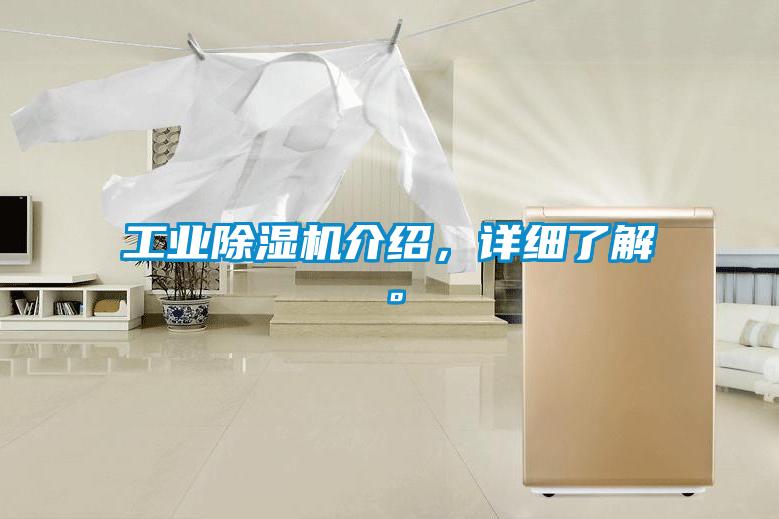 工业麻豆视频黄网站介绍，详细了解。