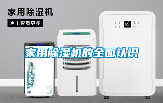 家用麻豆视频黄网站的全面认识