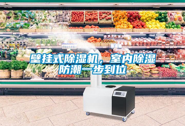 壁挂式麻豆视频黄网站，室内除湿防潮一步到位