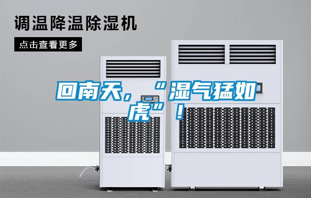 回南天，“湿气猛如虎”！