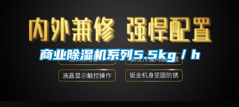 商业麻豆视频黄网站系列5.5kg／h