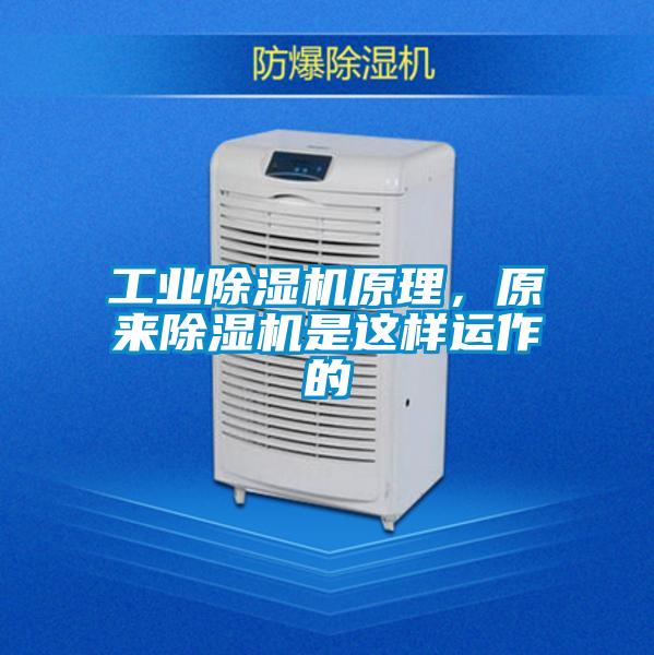 工业麻豆视频黄网站原理，原来麻豆视频黄网站是这样运作的