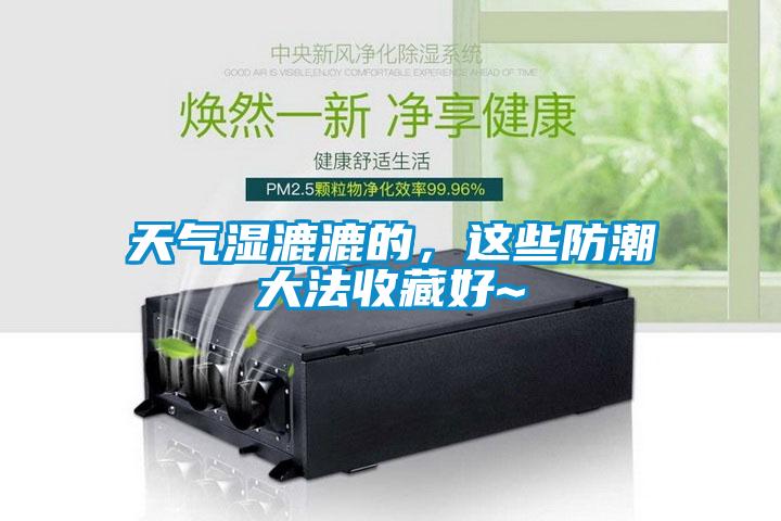 天气湿漉漉的，这些防潮大法收藏好~