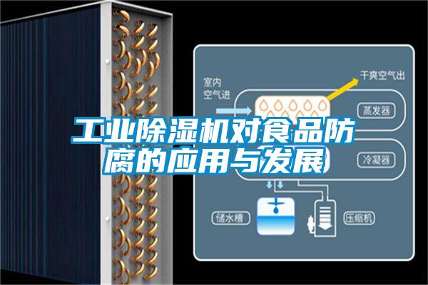 工业麻豆视频黄网站对食品防腐的应用与发展