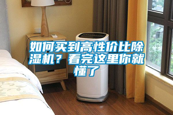 如何买到高性价比麻豆视频黄网站？看完这里你就懂了