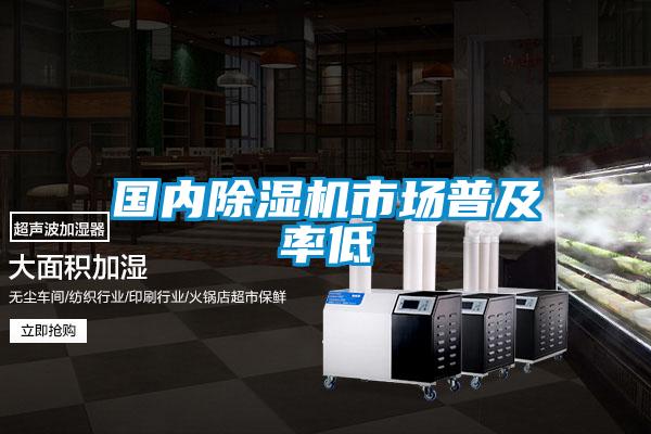 国内麻豆视频黄网站市场普及率低