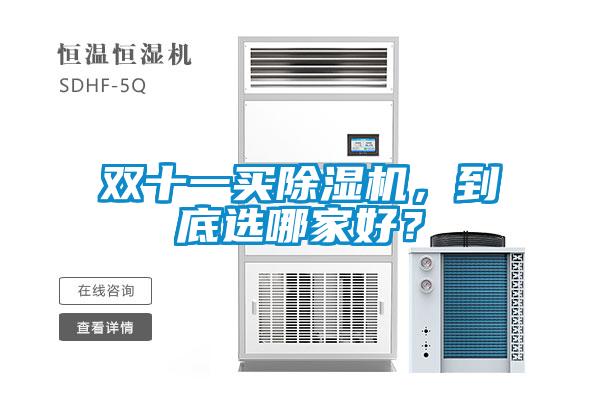 双十一买麻豆视频黄网站，到底选哪家好？