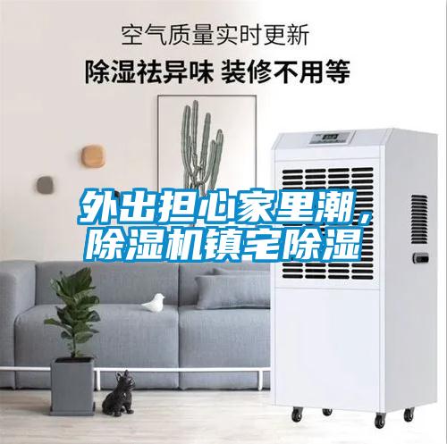 外出担心家里潮，麻豆视频黄网站镇宅除湿