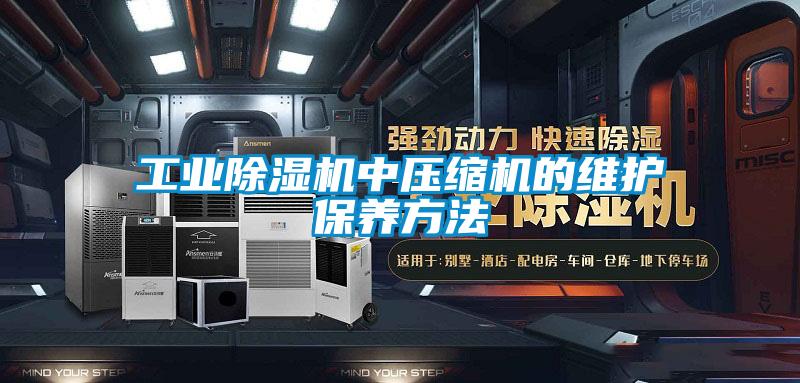 工业麻豆视频黄网站中压缩机的维护保养方法