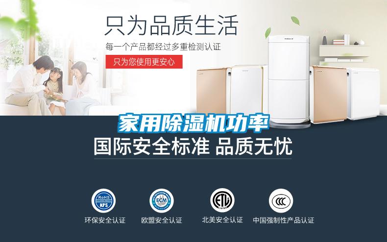 家用麻豆视频黄网站功率