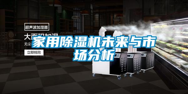 家用麻豆视频黄网站未来与市场分析