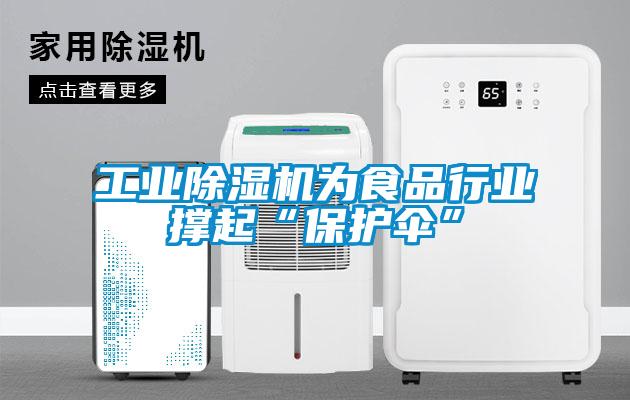 工业麻豆视频黄网站为食品行业撑起“保护伞”