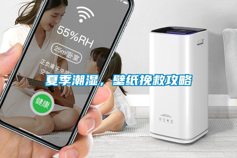 夏季潮湿，壁纸挽救攻略