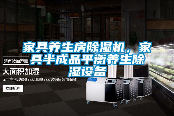 家具养生房麻豆视频黄网站，家具半成品平衡养生除湿设备