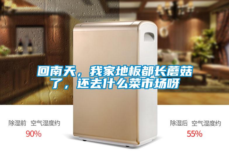 回南天，我家地板都长蘑菇了，还去什么菜市场呀