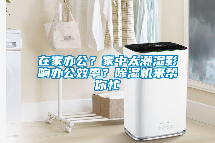 在家办公？家中太潮湿影响办公效率？麻豆视频黄网站来帮你忙
