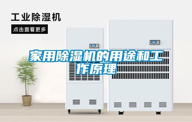 家用麻豆视频黄网站的用途和工作原理