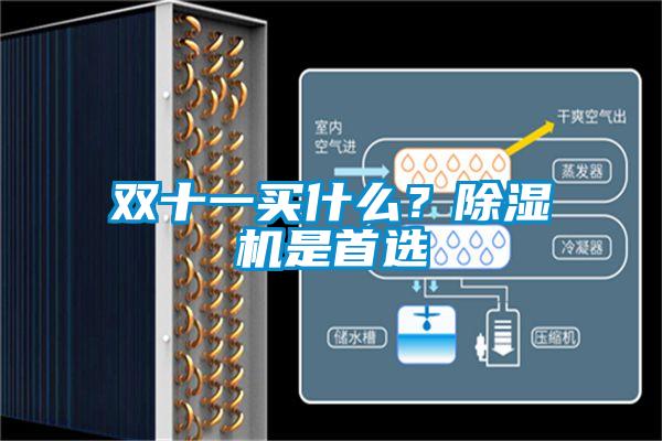 双十一买什么？麻豆视频黄网站是首选