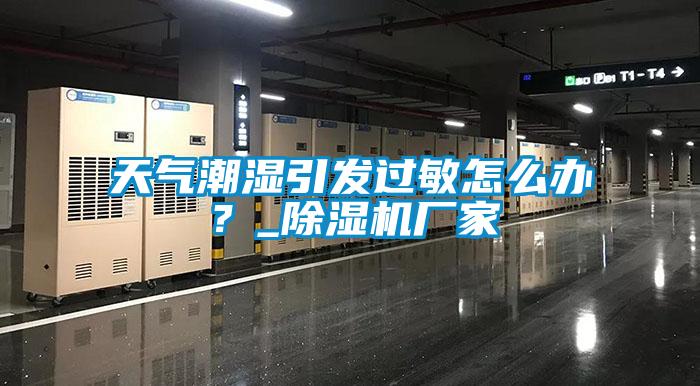 天气潮湿引发过敏怎么办？_麻豆视频黄网站厂家