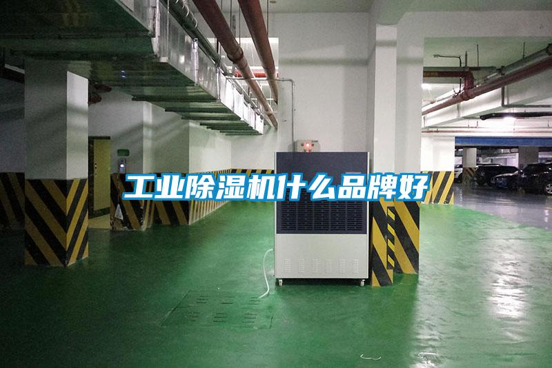 工业麻豆视频黄网站什么品牌好
