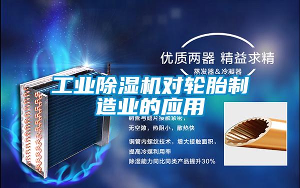 工业麻豆视频黄网站对轮胎制造业的应用