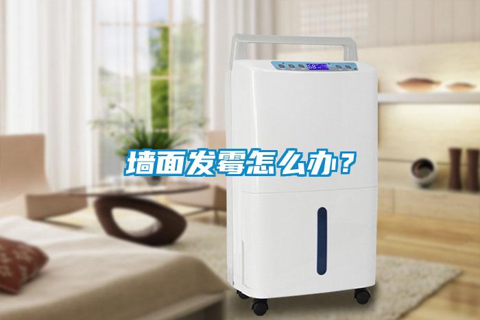 墙面发霉怎么办？