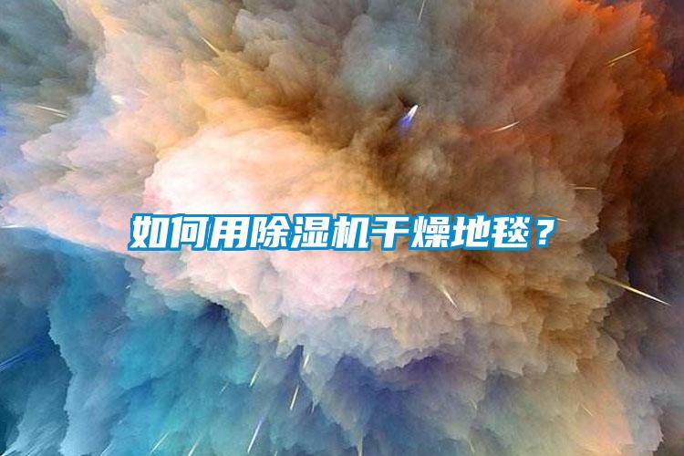 如何用麻豆视频黄网站干燥地毯？