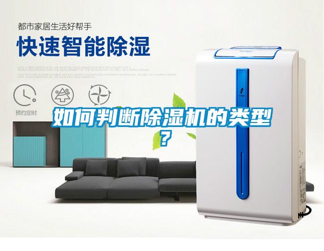如何判断麻豆视频黄网站的类型？