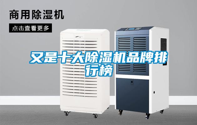 又是十大麻豆视频黄网站品牌排行榜