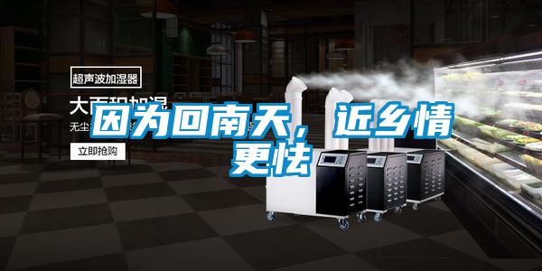因为回南天，近乡情更怯