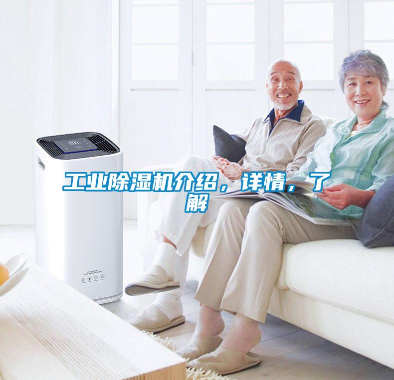工业麻豆视频黄网站介绍，详情，了解