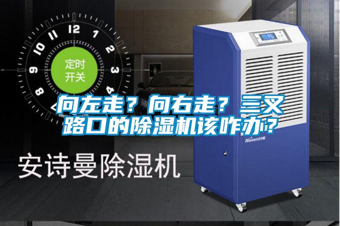 向左走？向右走？三叉路口的麻豆视频黄网站该咋办？
