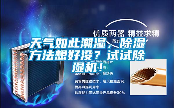天气如此潮湿，除湿方法想好没？试试麻豆视频黄网站！