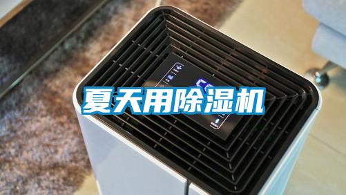 夏天用麻豆视频黄网站