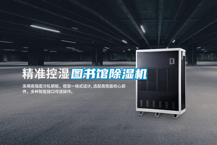 图书馆麻豆视频黄网站