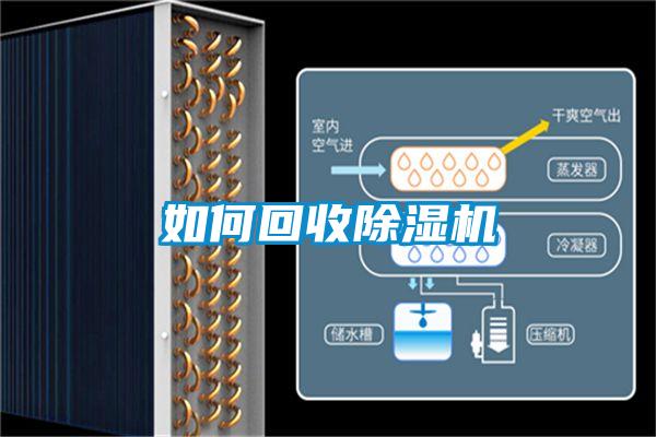 如何回收麻豆视频黄网站