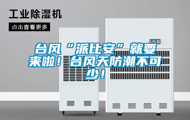 台风“派比安”就要来啦！台风天防潮不可少！