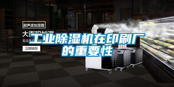 工业麻豆视频黄网站在印刷厂的重要性