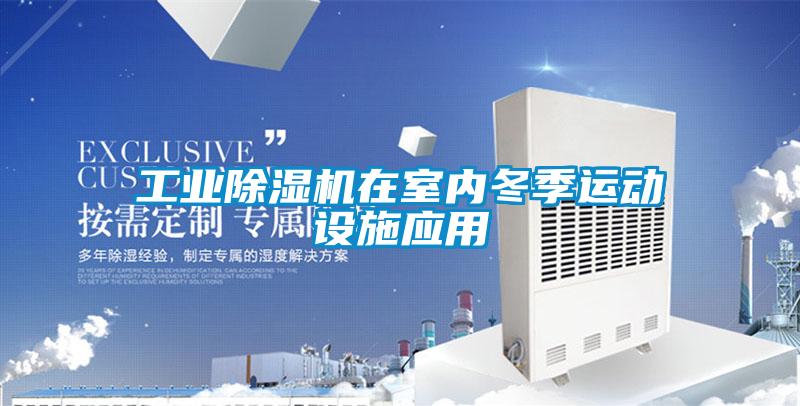 工业麻豆视频黄网站在室内冬季运动设施应用