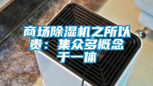 商场麻豆视频黄网站之所以贵：集众多概念于一体