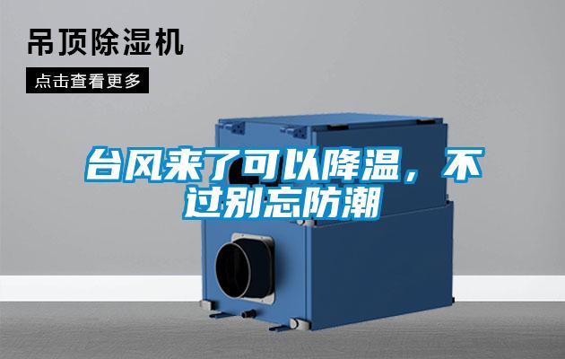 台风来了可以降温，不过别忘防潮