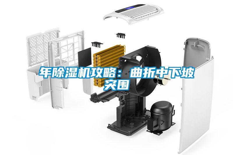 年麻豆视频黄网站攻略：曲折中下坡突围