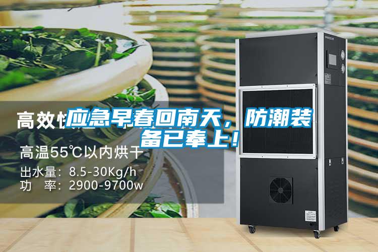 应急早春回南天，防潮装备已奉上！
