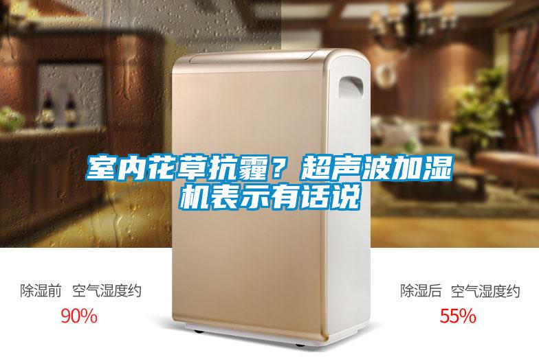 室内花草抗霾？超声波加湿机表示有话说