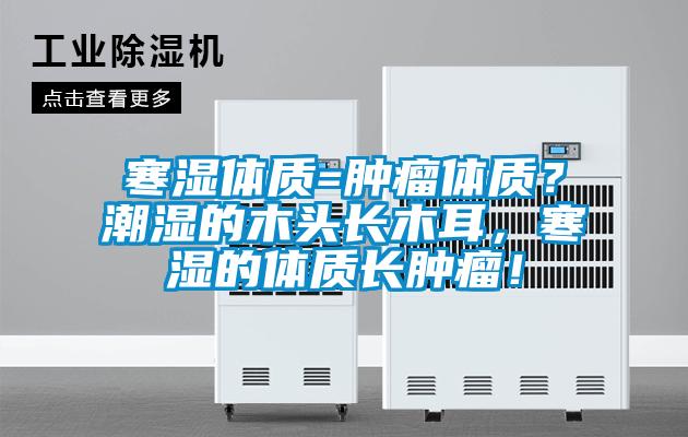 寒湿体质=肿瘤体质？潮湿的木头长木耳，寒湿的体质长肿瘤！