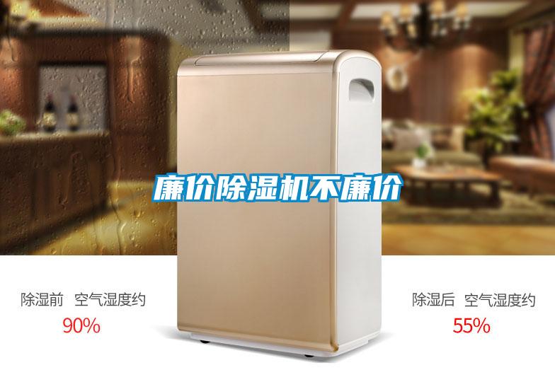 廉价麻豆视频黄网站不廉价