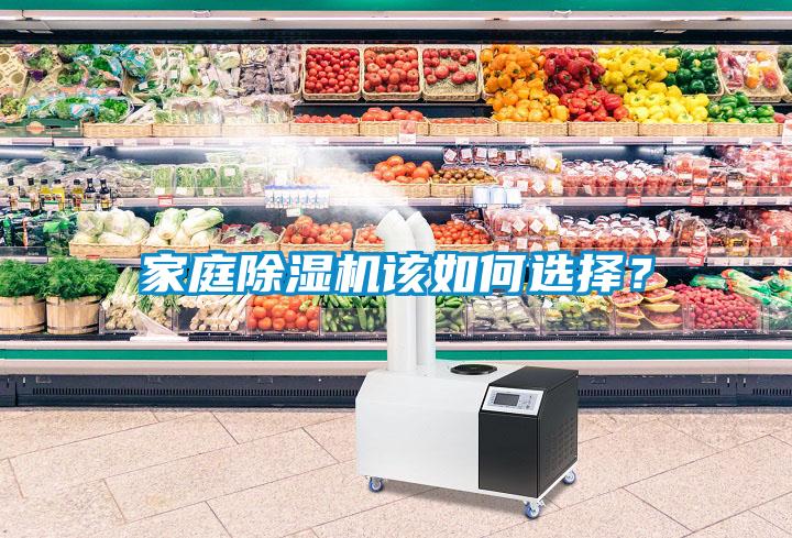 家庭麻豆视频黄网站该如何选择？