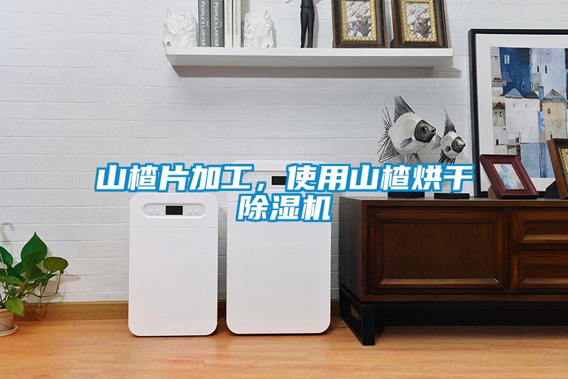 山楂片加工，使用山楂烘干麻豆视频黄网站