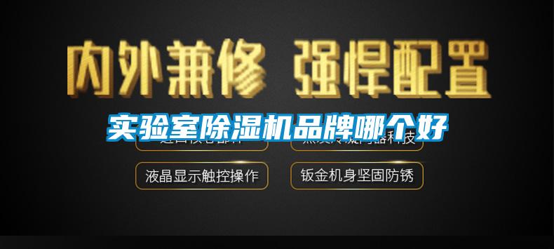 实验室麻豆视频黄网站品牌哪个好